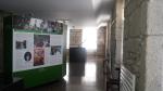 foto arabo imagen galeria museo foto arabo imagen galeria museo